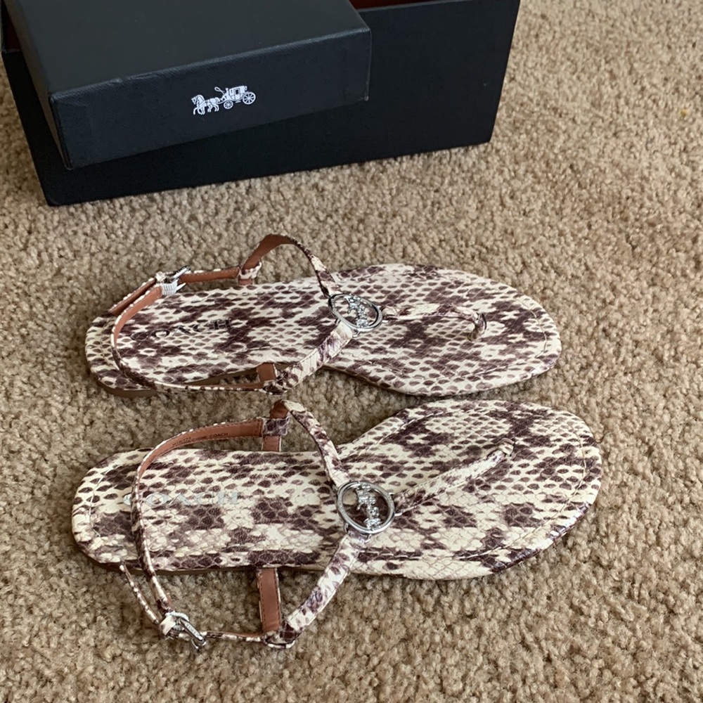 Coach - Picture 3 of 8